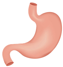 關(guān)注職場“腸”態(tài)，守護(hù)員工健康——上海格瑞特特邀消化內(nèi)科專家公益系列講座（4）(圖9)